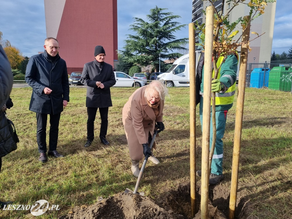 Organizacje pozarządowe posadziły dąb
