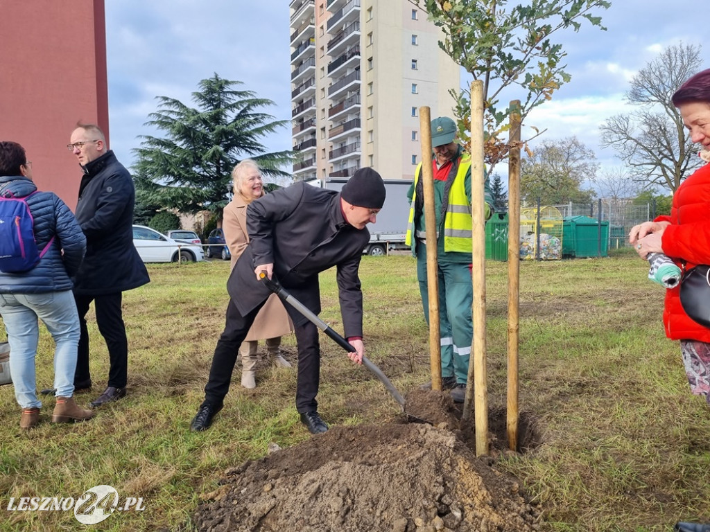 Organizacje pozarządowe posadziły dąb