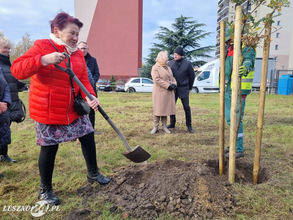 Organizacje pozarządowe posadziły dąb