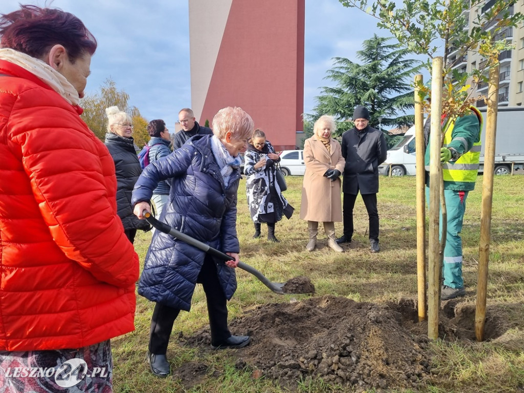 Organizacje pozarządowe posadziły dąb