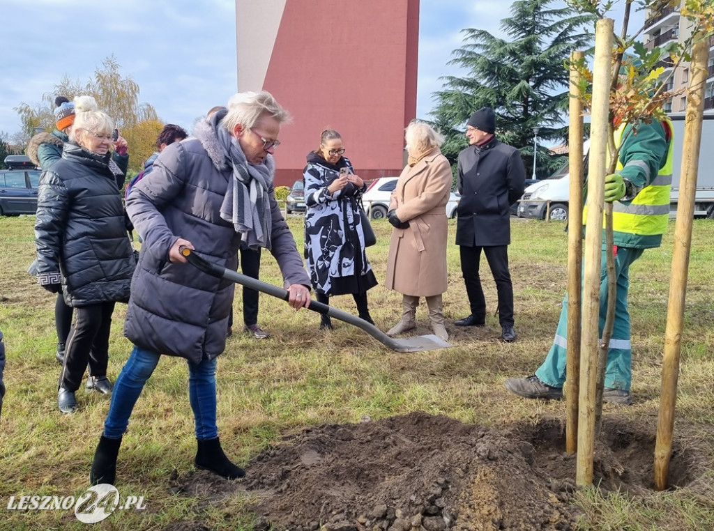 Organizacje pozarządowe posadziły dąb