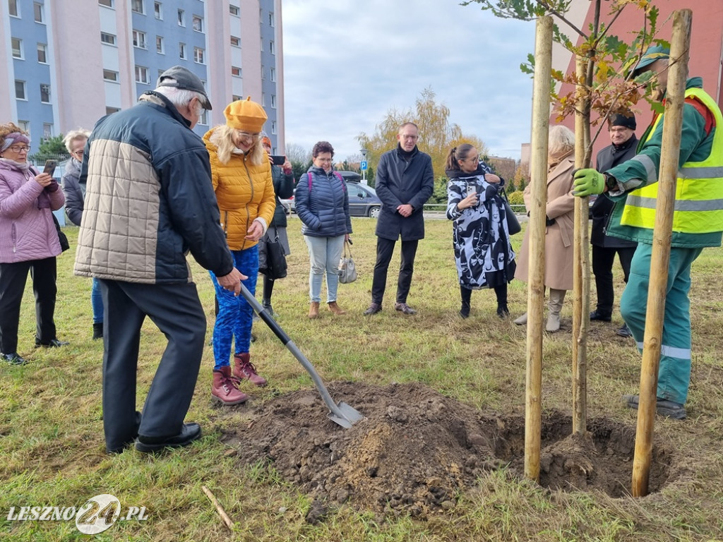 Organizacje pozarządowe posadziły dąb