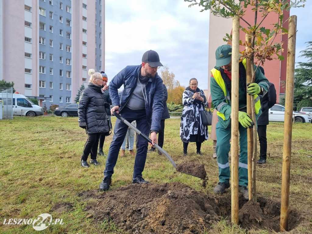 Organizacje pozarządowe posadziły dąb