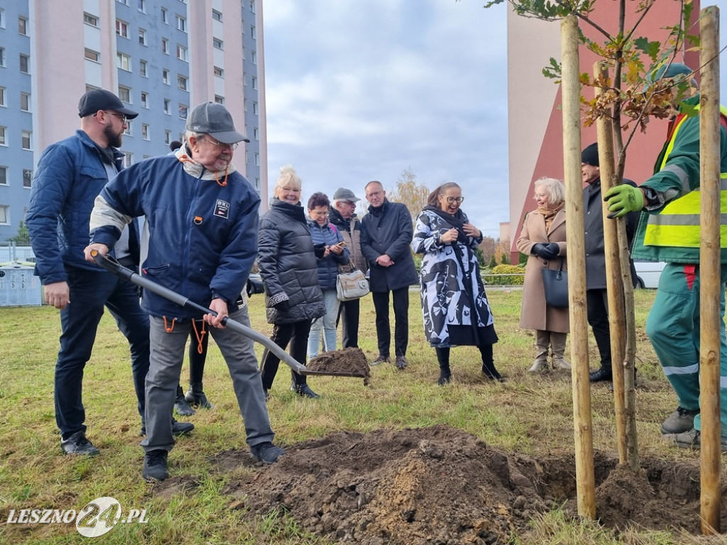 Organizacje pozarządowe posadziły dąb