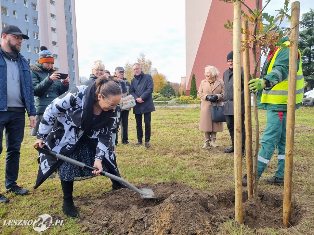 Organizacje pozarządowe posadziły dąb