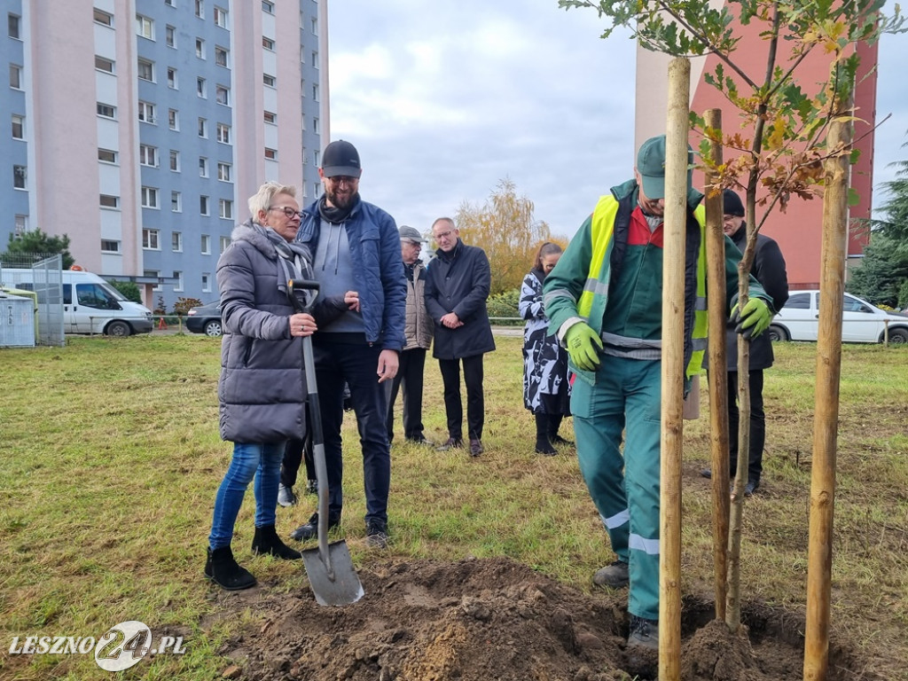 Organizacje pozarządowe posadziły dąb