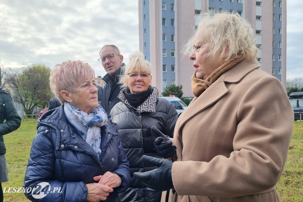 Organizacje pozarządowe posadziły dąb