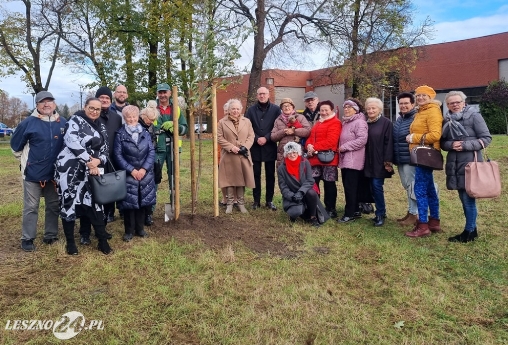 Organizacje pozarządowe posadziły dąb