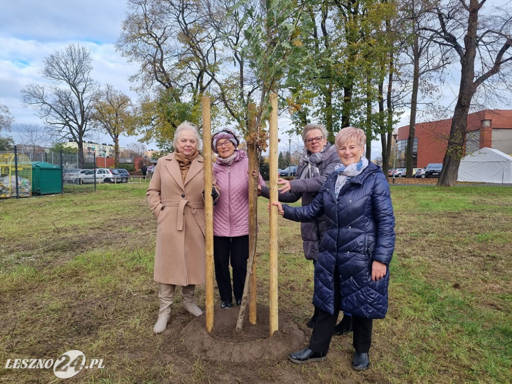 Organizacje pozarządowe posadziły dąb