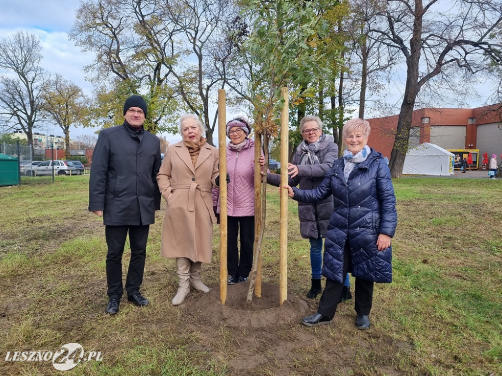 Organizacje pozarządowe posadziły dąb