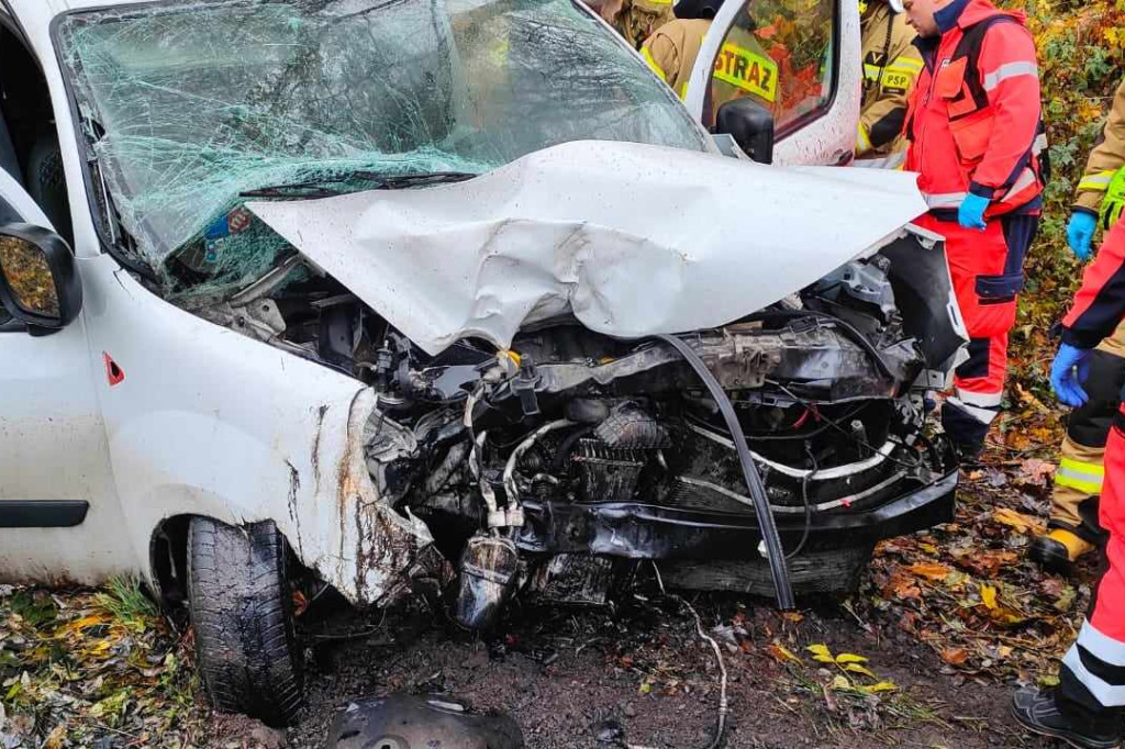 Wjechał w drzewo. Został ukarany mandatem