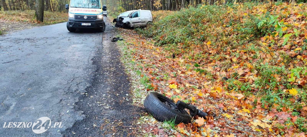 Wjechał w drzewo. Został ukarany mandatem