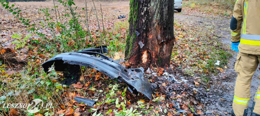 Wjechał w drzewo. Został ukarany mandatem