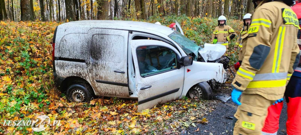 Wjechał w drzewo. Został ukarany mandatem