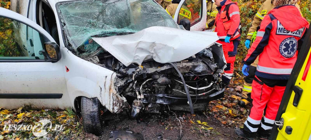 Wjechał w drzewo. Został ukarany mandatem