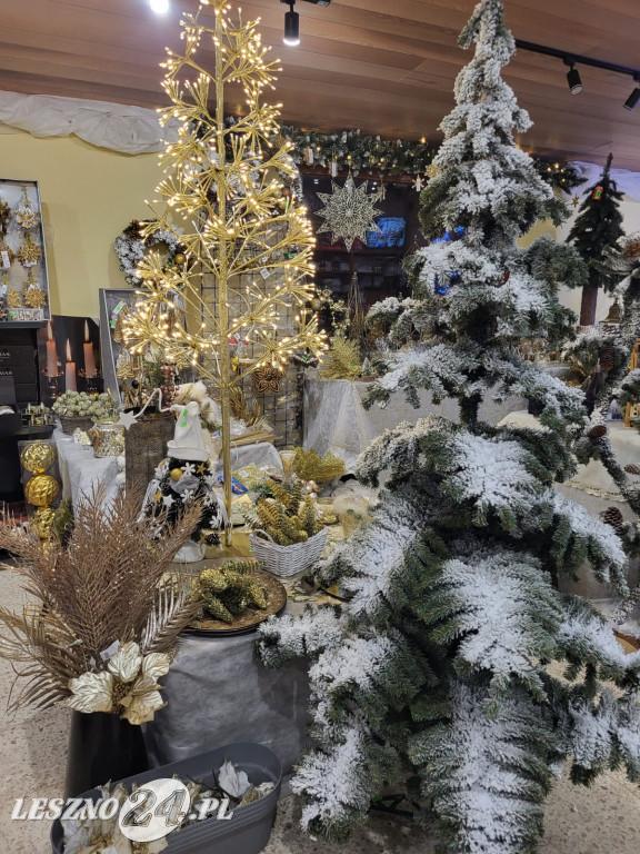 Świety Mikołaj w Centrum Gwiazkowym Brzezie