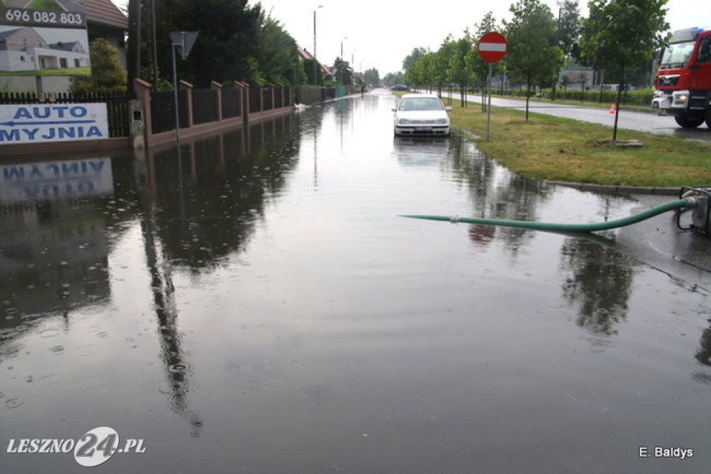 Ogród deszczowy w Lesznie