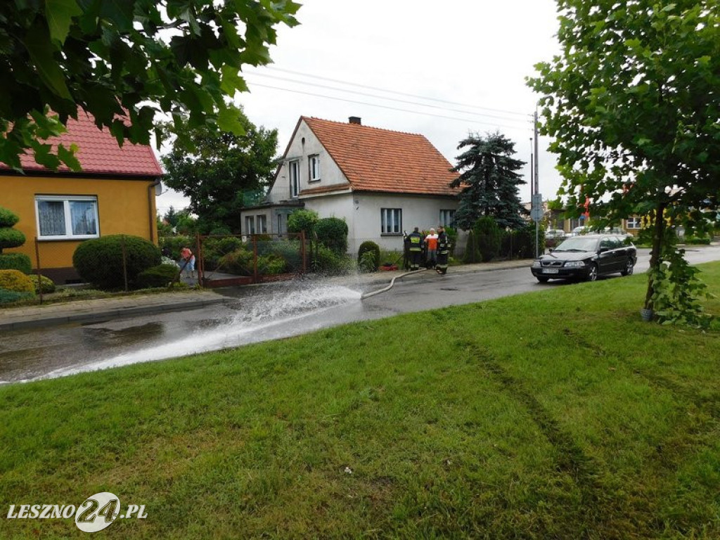 Ogród deszczowy w Lesznie