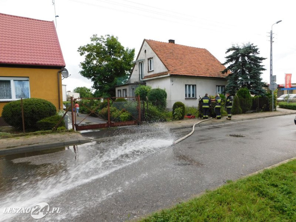Ogród deszczowy w Lesznie