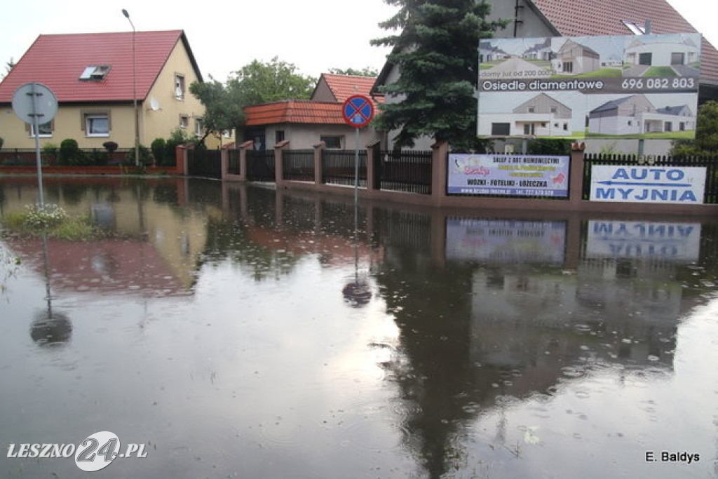 Ogród deszczowy w Lesznie