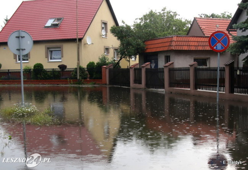 Ogród deszczowy w Lesznie