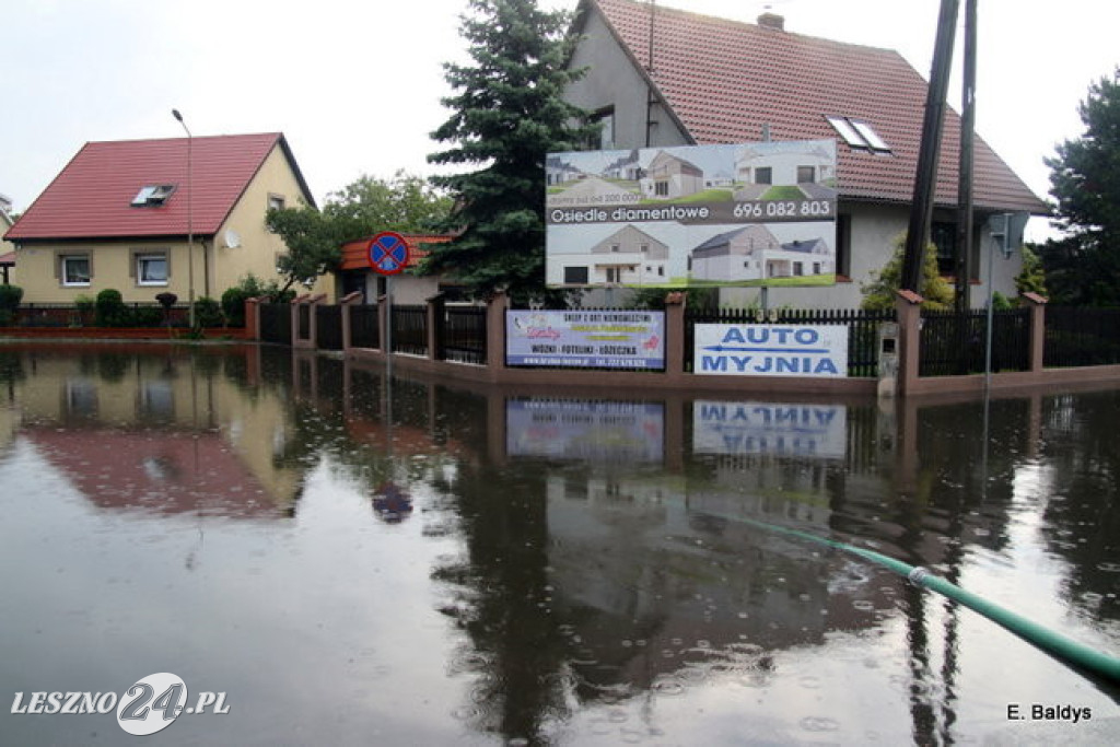 Ogród deszczowy w Lesznie
