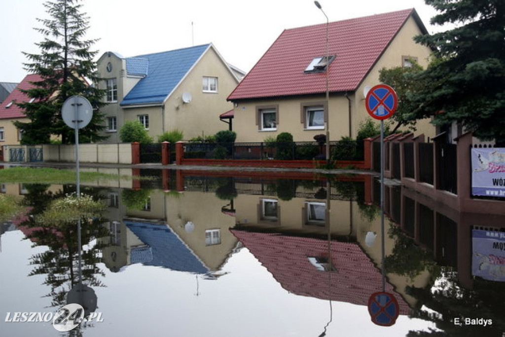 Ogród deszczowy w Lesznie