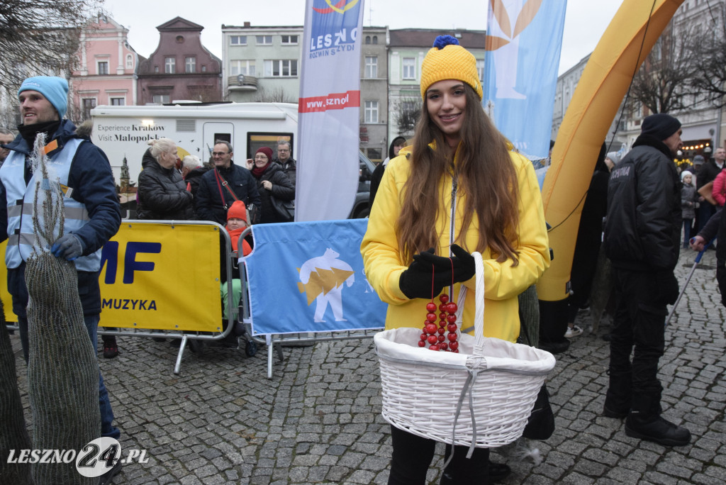 Choinki od RFM FM i Blanka na Rynku w Lesznie