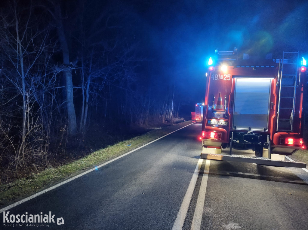 Śmiertelny wypadek na drodze Leszno-Krzywiń