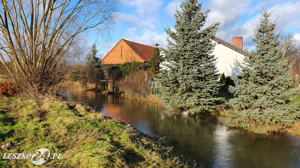 Wysoka woda w Rydzynie - grudzień 2023