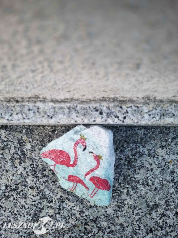 Flamingi pod Ratuszem