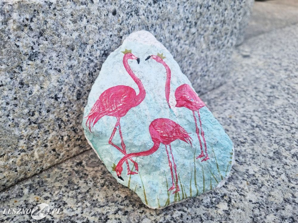 Flamingi pod Ratuszem
