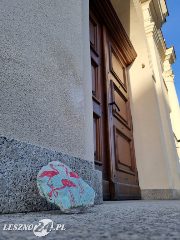 Flamingi pod Ratuszem