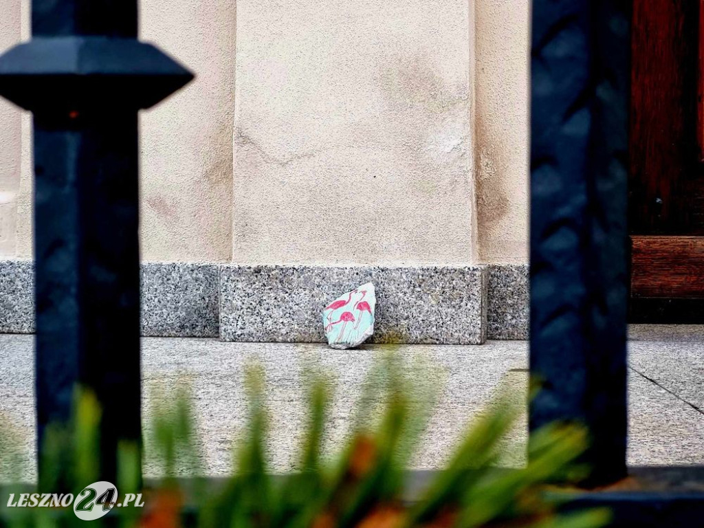 Flamingi pod Ratuszem