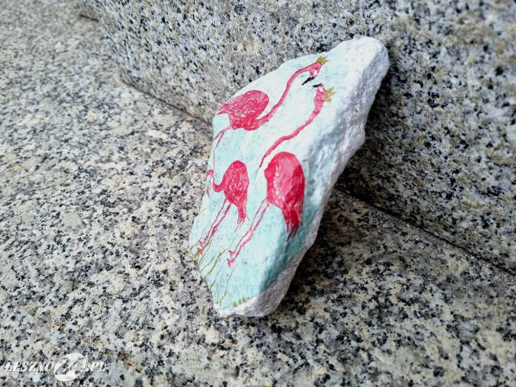 Flamingi pod Ratuszem