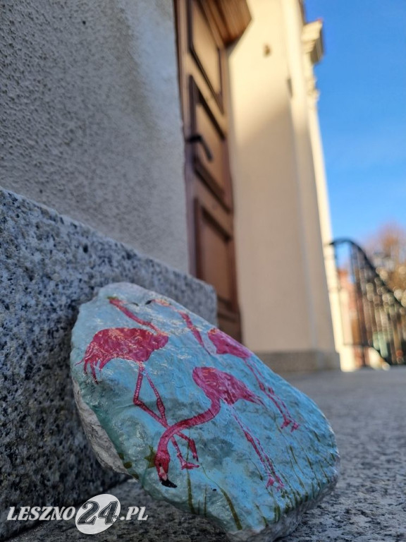 Flamingi pod Ratuszem