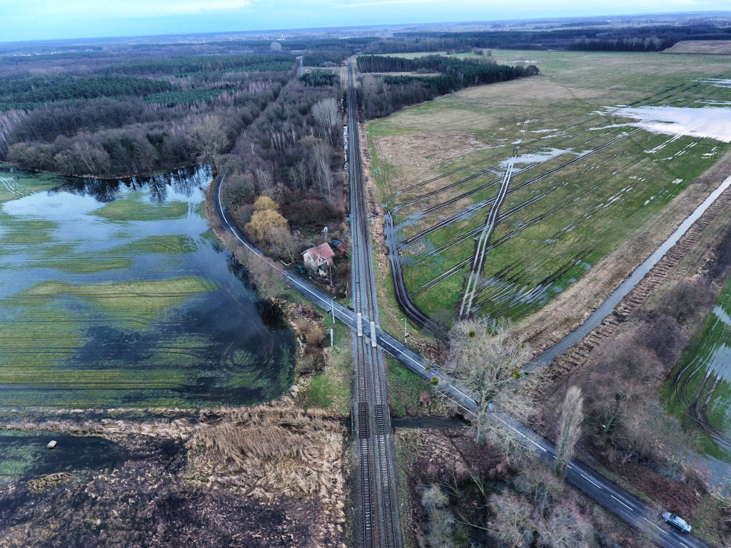 Zalane łąki przy drodze Robczysko-Poniec