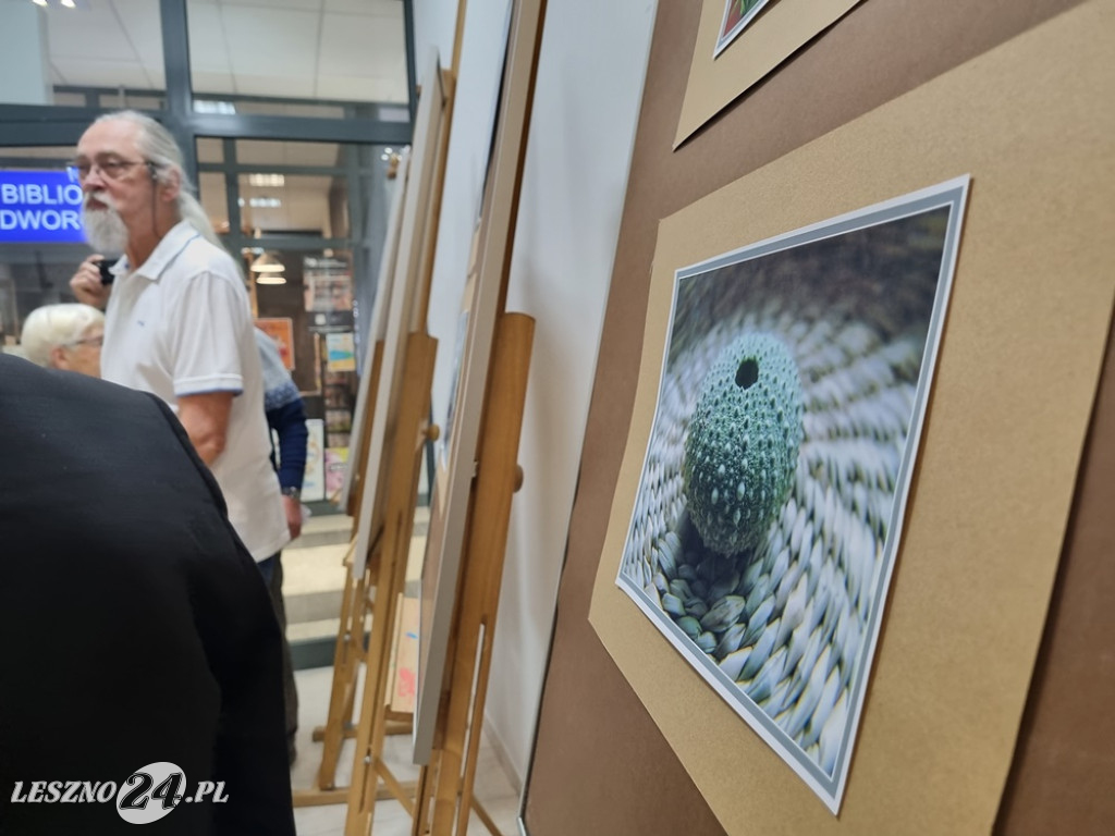 Urokliwa makrofotografia Grażyny Biernaczyk