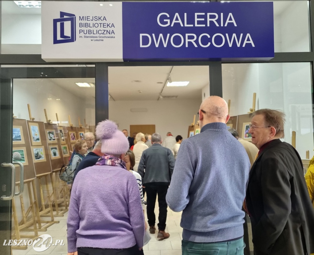 Urokliwa makrofotografia Grażyny Biernaczyk