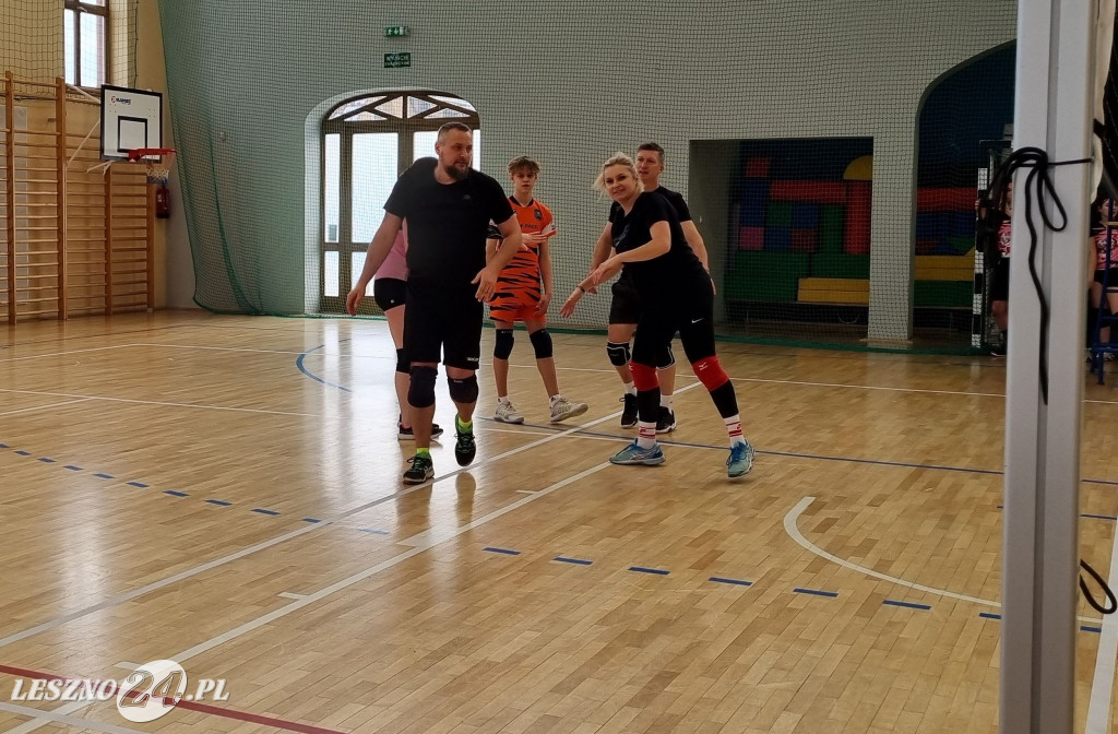 Turniej siatkówki w Rydzynie