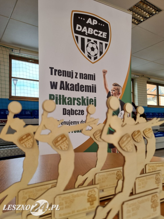 Turniej siatkówki w Rydzynie