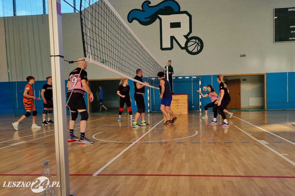 Turniej siatkówki w Rydzynie