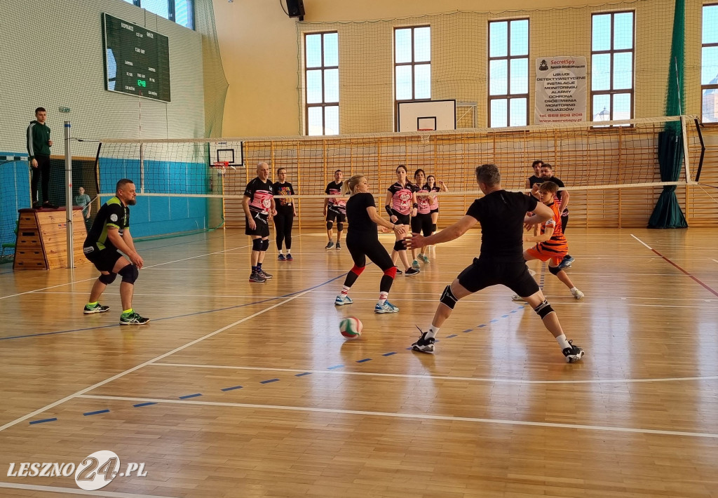 Turniej siatkówki w Rydzynie