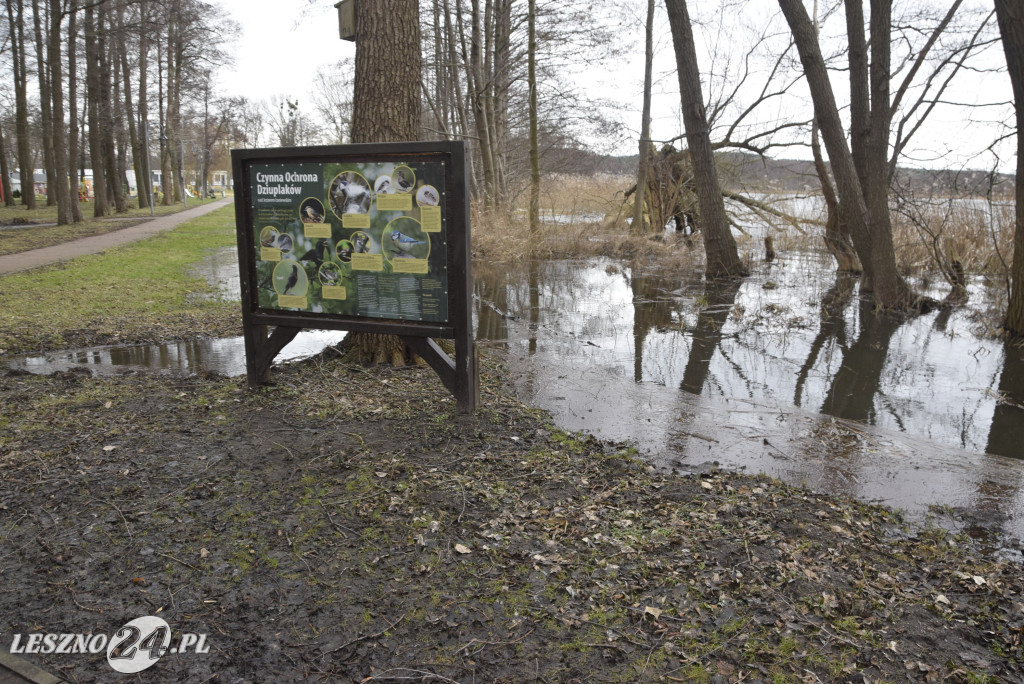 Jezioro Łoniewskie wypełnione po brzegi