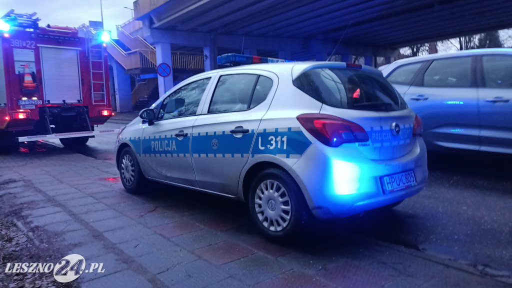 Akcja strażaków na Tamie Kolejowej w Lesznie