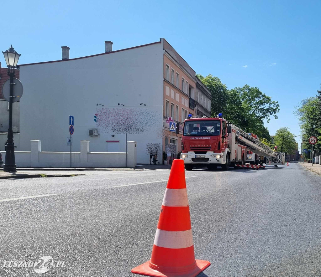 Działania strażaków przy Marcinkowskiego