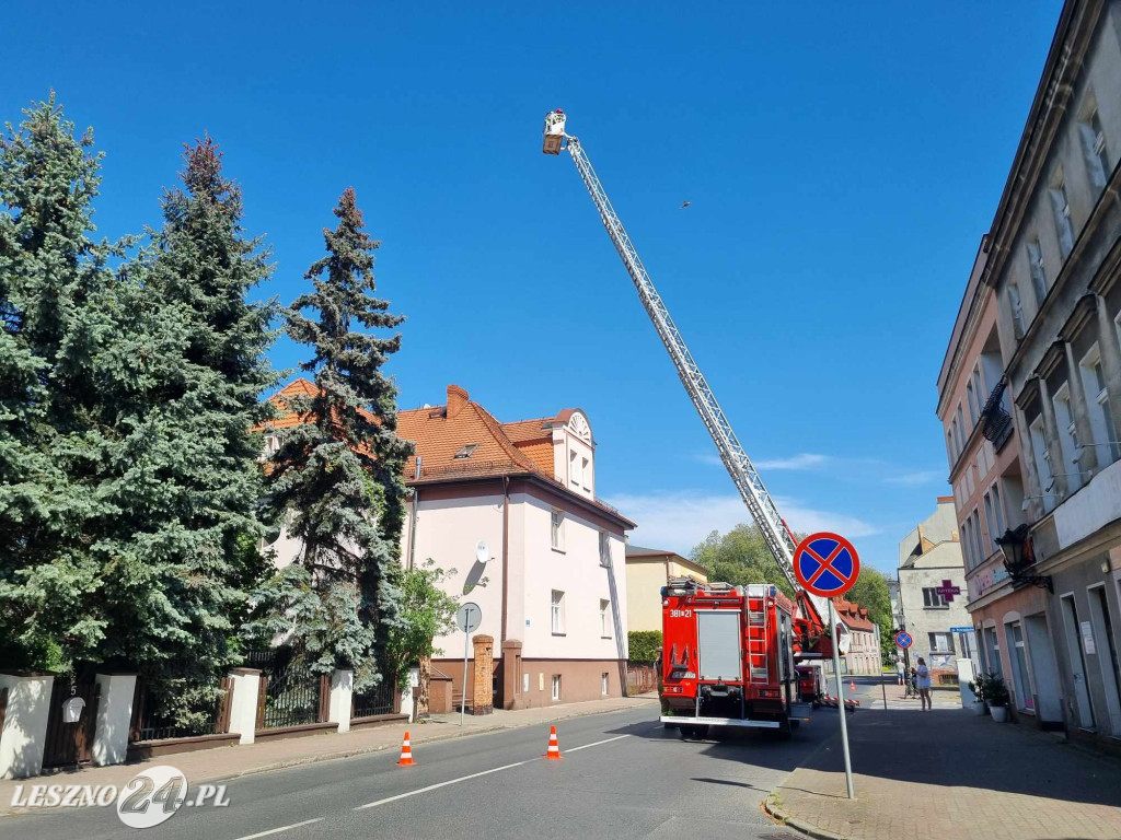 Działania strażaków przy Marcinkowskiego