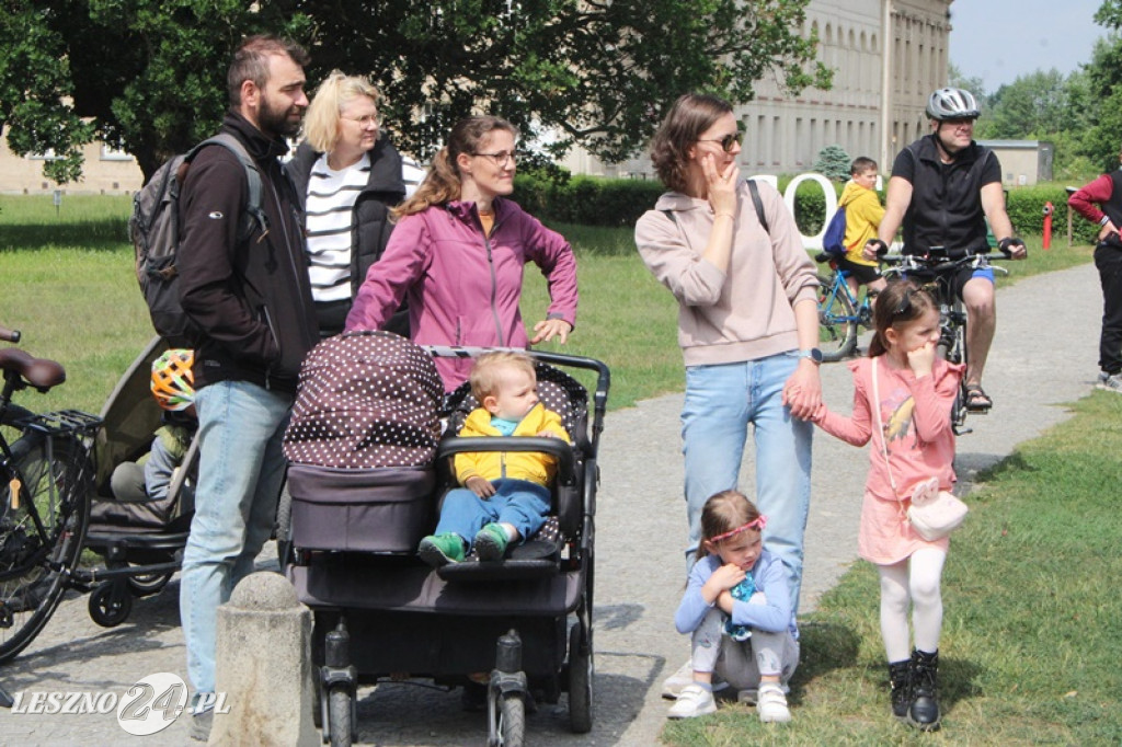 Mnóstwo zabytkowych pojazdów na rajdzie