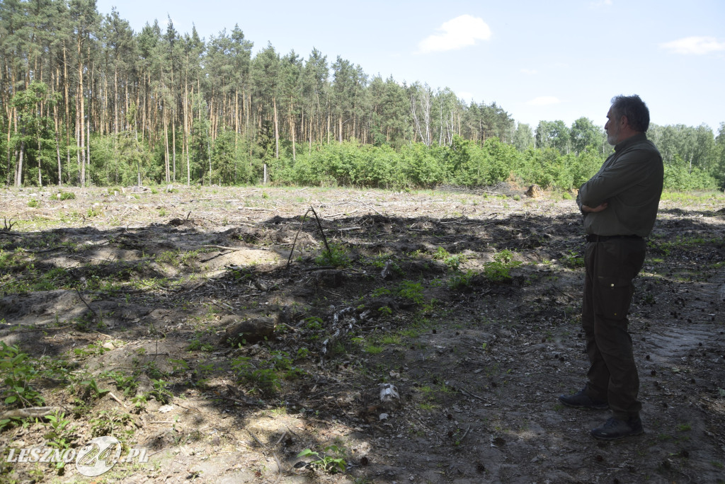 Spotkanie konsultacyjne w leszczyńskich lasach