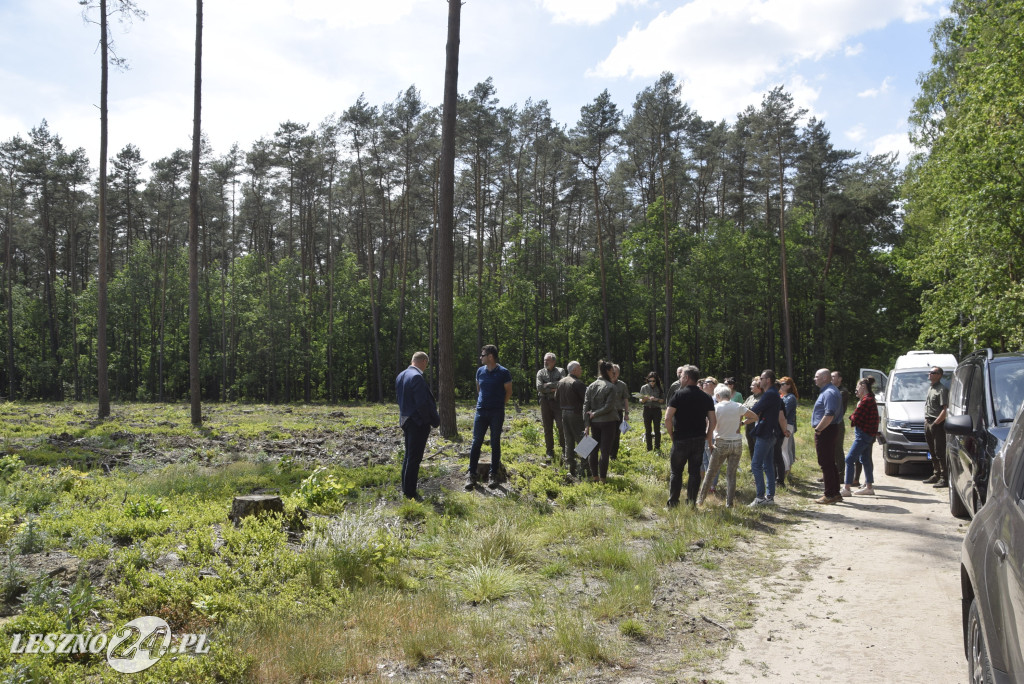 Spotkanie konsultacyjne w leszczyńskich lasach